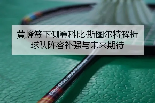 黄蜂签下侧翼科比·斯图尔特解析球队阵容补强与未来期待